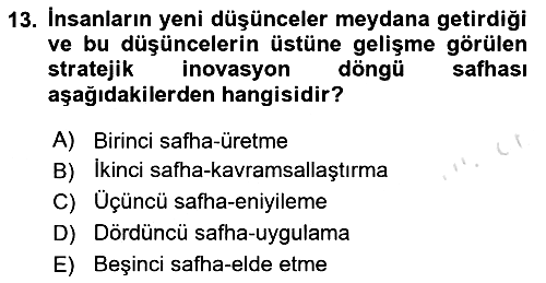 Turizmde Girişimcilik Ve İnovasyon 2023-2024 Ara Sınav - 13. soru