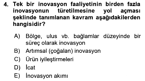 Turizmde Girişimcilik Ve İnovasyon 2024-2025 Ara Sınav - 4. soru