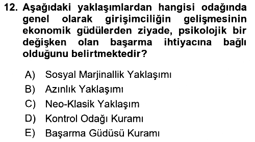 Turizmde Girişimcilik Ve İnovasyon 2023-2024 Yaz Okulu Sınavı - 12. soru