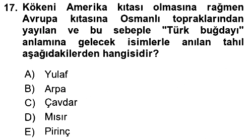Türk Mutfak Kültürü 2021-2022 Yaz Okulu Sınavı - 17. soru