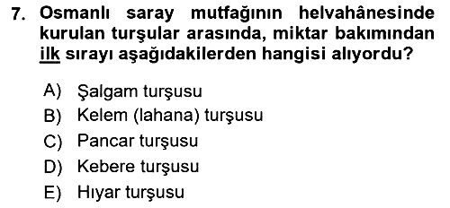 Türk Mutfak Kültürü 2024-2025 Yaz Okulu Sınavı - 7. soru