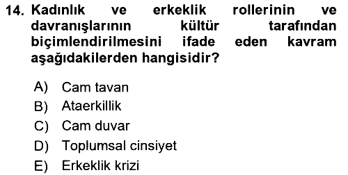 Yemek Sosyolojisi 2020-2021 Yaz Okulu Sınavı - 14. soru