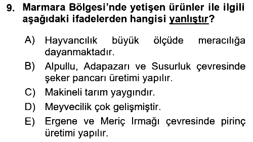 Yöresel Mutfaklar 2021-2022 Yaz Okulu Sınavı - 9. soru