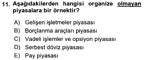 Menkul Kıymet Yatırımları 2017-2018 Ara Sınav - 11. soru