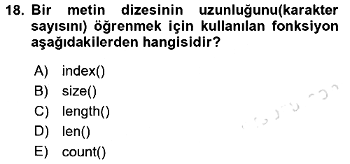 Programlama 2 2024-2025 Ara Sınav - 18. soru