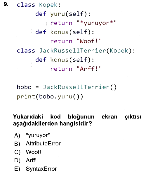 Programlama 2 2022-2023 Dönem Sonu Sınavı - 9. soru