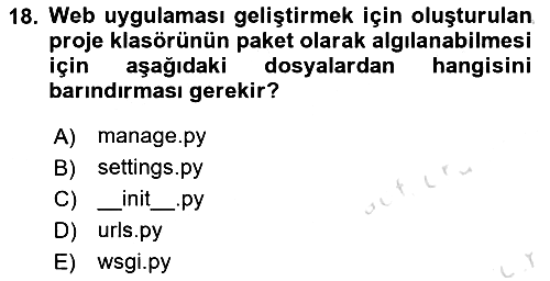 Programlama 2 2022-2023 Dönem Sonu Sınavı - 18. soru