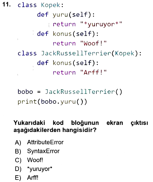 Programlama 2 2023-2024 Dönem Sonu Sınavı - 11. soru