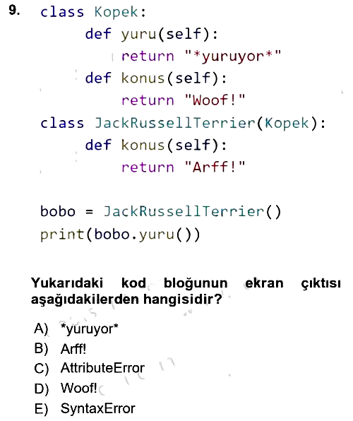 Programlama 2 2024-2025 Dönem Sonu Sınavı - 9. soru