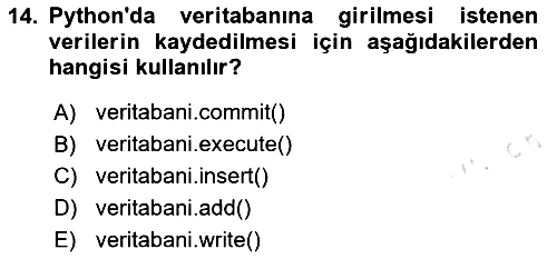 Programlama 2 2024-2025 Dönem Sonu Sınavı - 14. soru