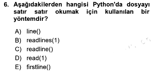 Programlama 2 2025-2026 Dönem Sonu Sınavı - 6. soru