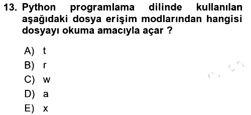 Programlama 2 2024-2025 Yaz Okulu Sınavı - 13. soru