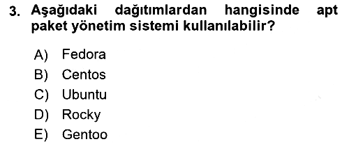 Unix Sistem Yönetimi 2024-2025 Ara Sınav - 3. soru