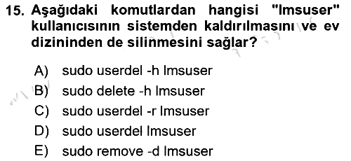 Unix Sistem Yönetimi 2024-2025 Dönem Sonu Sınavı - 15. soru