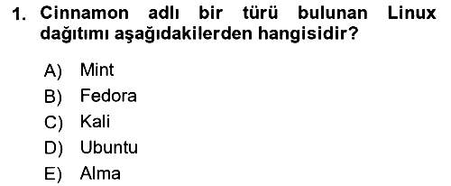 Unix Sistem Yönetimi 2022-2023 Yaz Okulu Sınavı - 1. soru