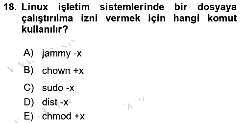 Unix Sistem Yönetimi 2023-2024 Yaz Okulu Sınavı - 18. soru