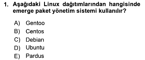Unix Sistem Yönetimi 2024-2025 Yaz Okulu Sınavı - 1. soru