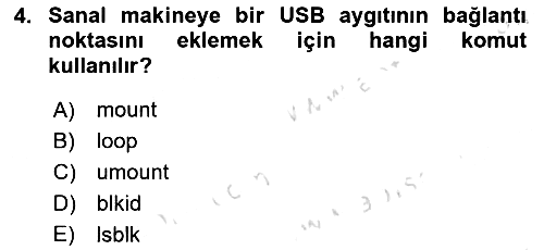 Unix Sistem Yönetimi 2024-2025 Yaz Okulu Sınavı - 4. soru