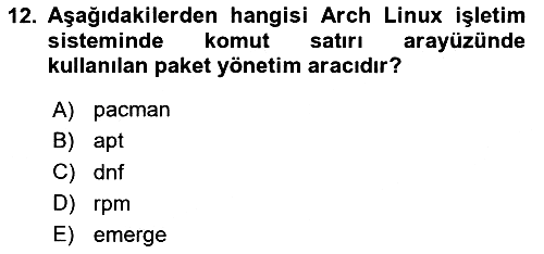 Unix Sistem Yönetimi 2024-2025 Yaz Okulu Sınavı - 12. soru