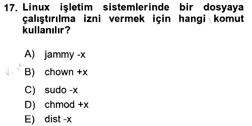 Unix Sistem Yönetimi 2024-2025 Yaz Okulu Sınavı - 17. soru