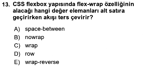 Web Arayüz Programlama 2022-2023 Ara Sınav - 13. soru