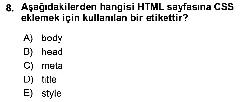 Web Arayüz Programlama 2023-2024 Ara Sınav - 8. soru