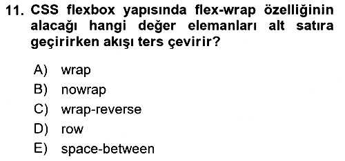 Web Arayüz Programlama 2023-2024 Ara Sınav - 11. soru