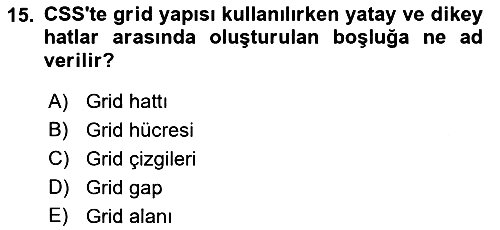 Web Arayüz Programlama 2023-2024 Ara Sınav - 15. soru