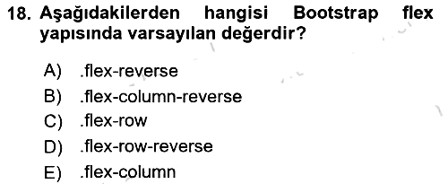 Web Arayüz Programlama 2023-2024 Ara Sınav - 18. soru