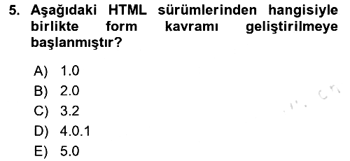 Web Arayüz Programlama 2024-2025 Ara Sınav - 5. soru