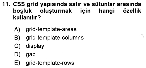 Web Arayüz Programlama 2024-2025 Ara Sınav - 11. soru