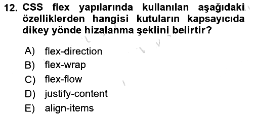 Web Arayüz Programlama 2024-2025 Ara Sınav - 12. soru