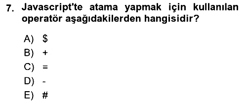 Web Arayüz Programlama 2024-2025 Dönem Sonu Sınavı - 7. soru