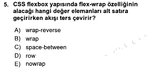 Web Arayüz Programlama 2022-2023 Yaz Okulu Sınavı - 5. soru