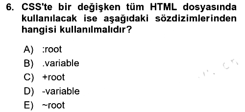 Web Arayüz Programlama 2023-2024 Yaz Okulu Sınavı - 6. soru