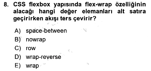 Web Arayüz Programlama 2025-2026 Yaz Okulu Sınavı - 8. soru