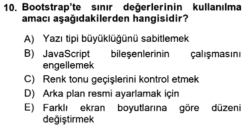Web Arayüz Programlama 2025-2026 Yaz Okulu Sınavı - 10. soru
