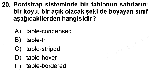 Web Tabanlı Kodlama 2017-2018 3 Ders Sınavı - 20. soru
