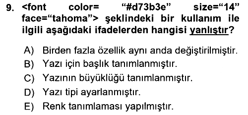 Web Tabanlı Kodlama 2021-2022 Ara Sınav - 9. soru