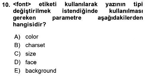 Web Tabanlı Kodlama 2024-2025 Ara Sınav - 10. soru