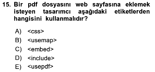 Web Tabanlı Kodlama 2024-2025 Ara Sınav - 15. soru