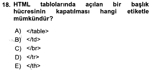 Web Tabanlı Kodlama 2024-2025 Ara Sınav - 18. soru