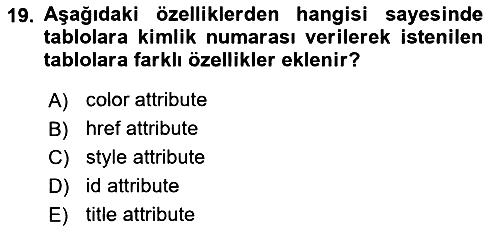 Web Tabanlı Kodlama 2024-2025 Ara Sınav - 19. soru