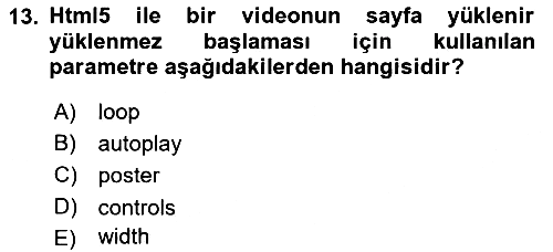 Web Tabanlı Kodlama 2025-2026 Ara Sınav - 13. soru