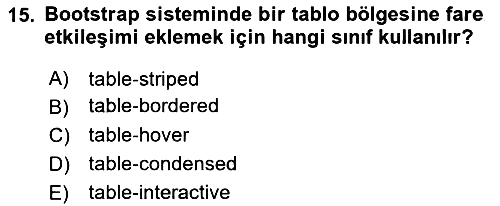 Web Tabanlı Kodlama 2019-2020 Dönem Sonu Sınavı - 15. soru