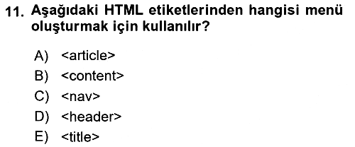 Web Tabanlı Kodlama 2024-2025 Dönem Sonu Sınavı - 11. soru