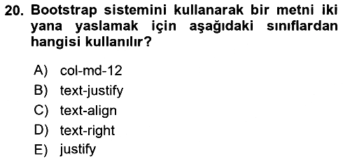 Web Tabanlı Kodlama 2021-2022 Yaz Okulu Sınavı - 20. soru