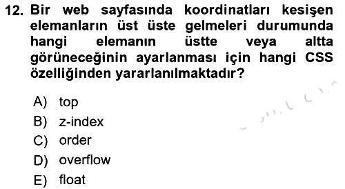 Web Tabanlı Kodlama 2022-2023 Yaz Okulu Sınavı - 12. soru