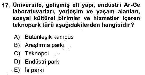 Kamu Özel Kesim Yapısı Ve İlişkileri 2018-2019 3 Ders Sınavı - 17. soru