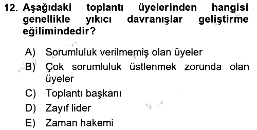 Toplantı Ve Sunu Teknikleri 2024-2025 Ara Sınav - 12. soru